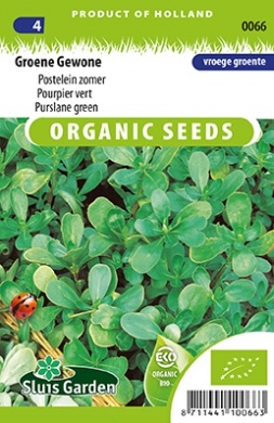Purslane Green BIO (Portulaca oleracea) 7000 seeds